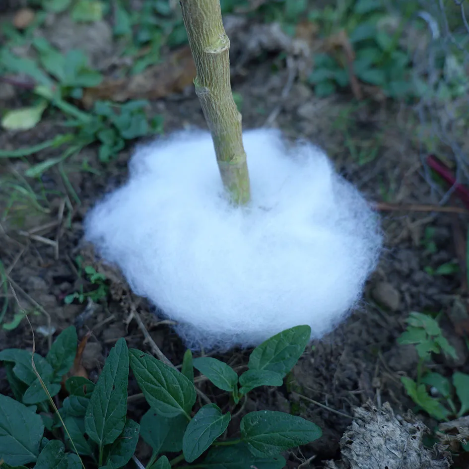 Schneckenbremse meine ernte – Bild 7