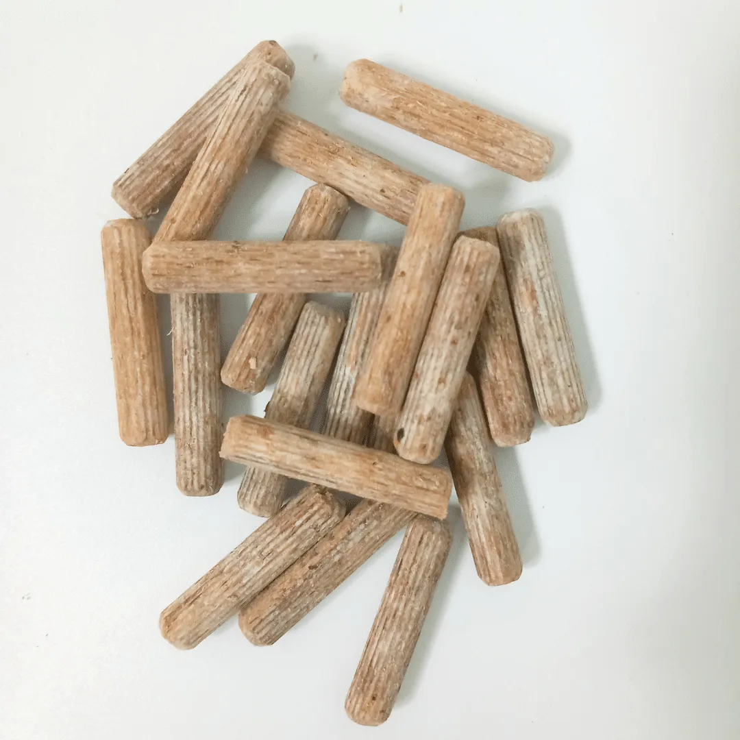 Austernpilze Glückspilz-Set, Pilzzucht – Bild 5