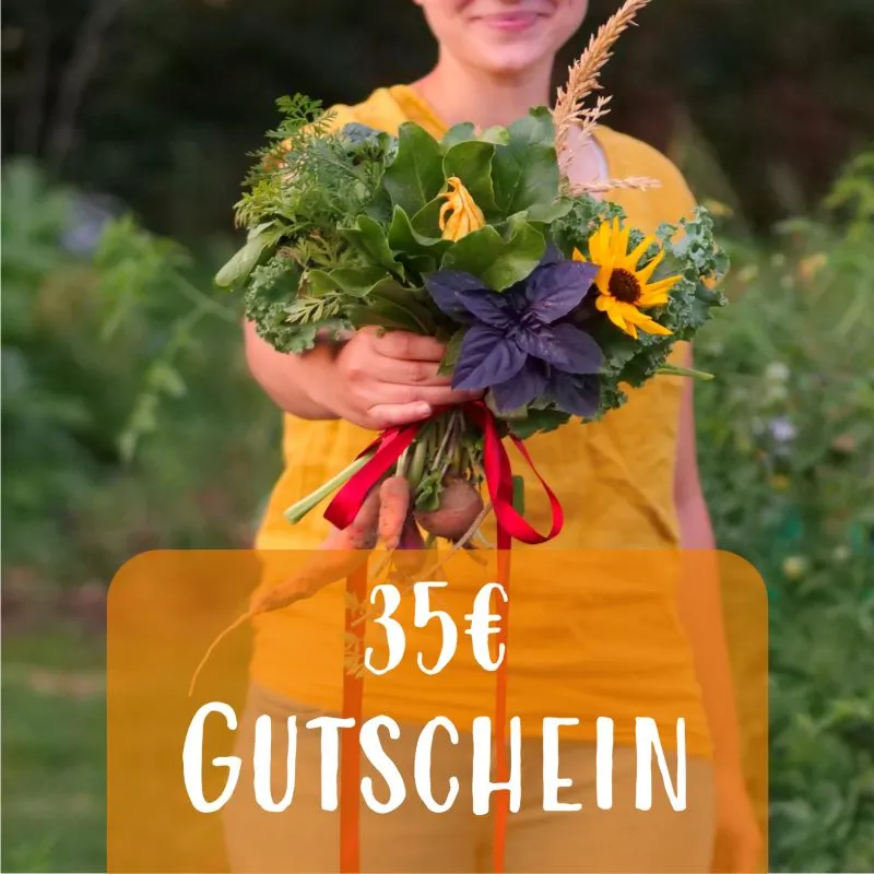 Geschenkgutschein meine ernte Shop 35€