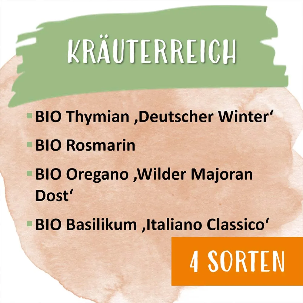 BIO Saatgut 4er Set “Kräuterreich”, meine ernte – Bild 6