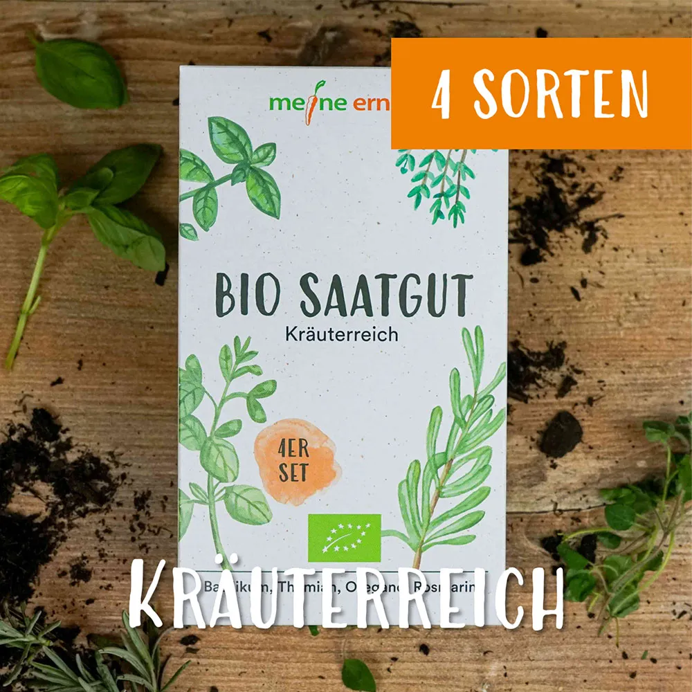 BIO Saatgut 4er Set “Kräuterreich”, meine ernte