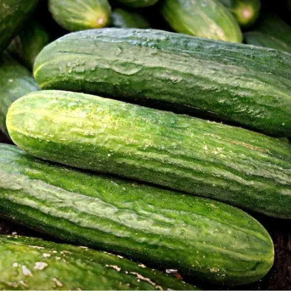 Bio-Premium-Set Sommergemüse I – Bild 6