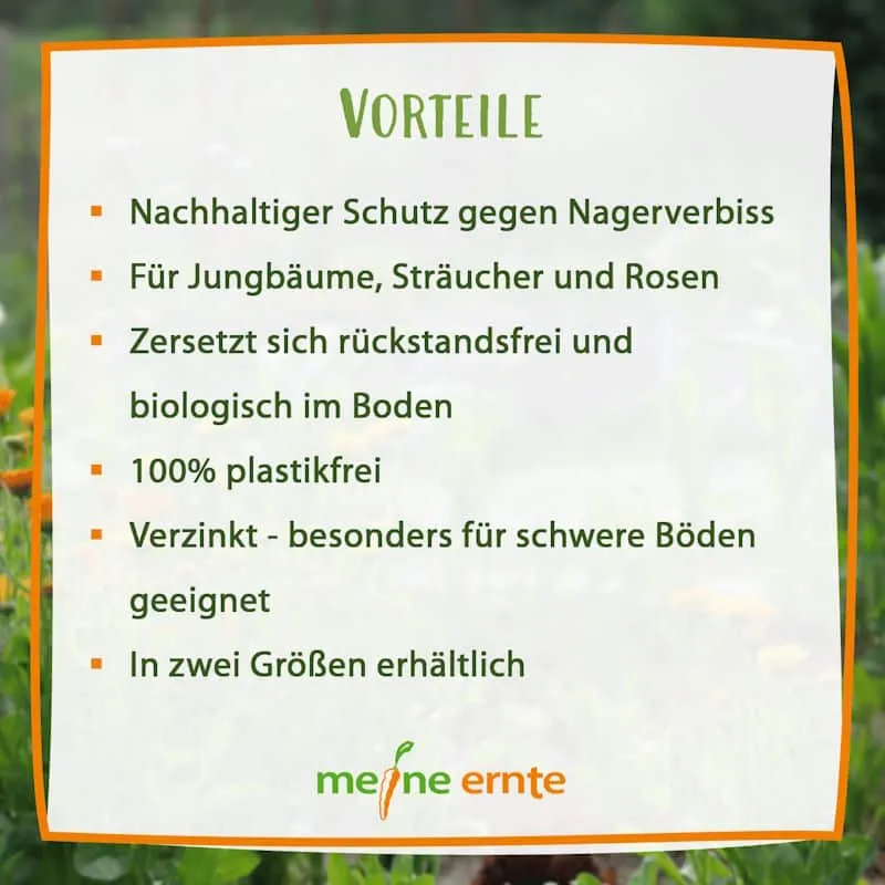 Wühlmauskorb meine ernte für Bäume und Sträucher, 35 x 40 cm oder 60 x 70 cm, verzinkt – Bild 8