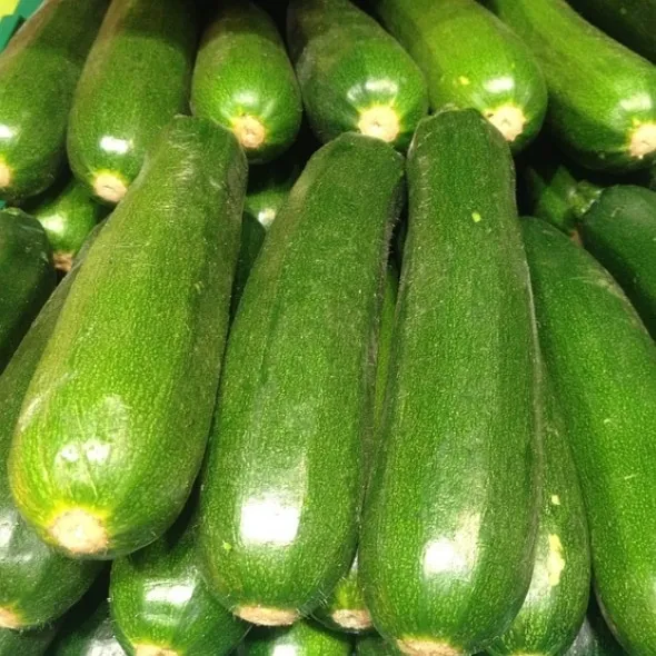 Bio-Premium-Set Sommergemüse I – Bild 3