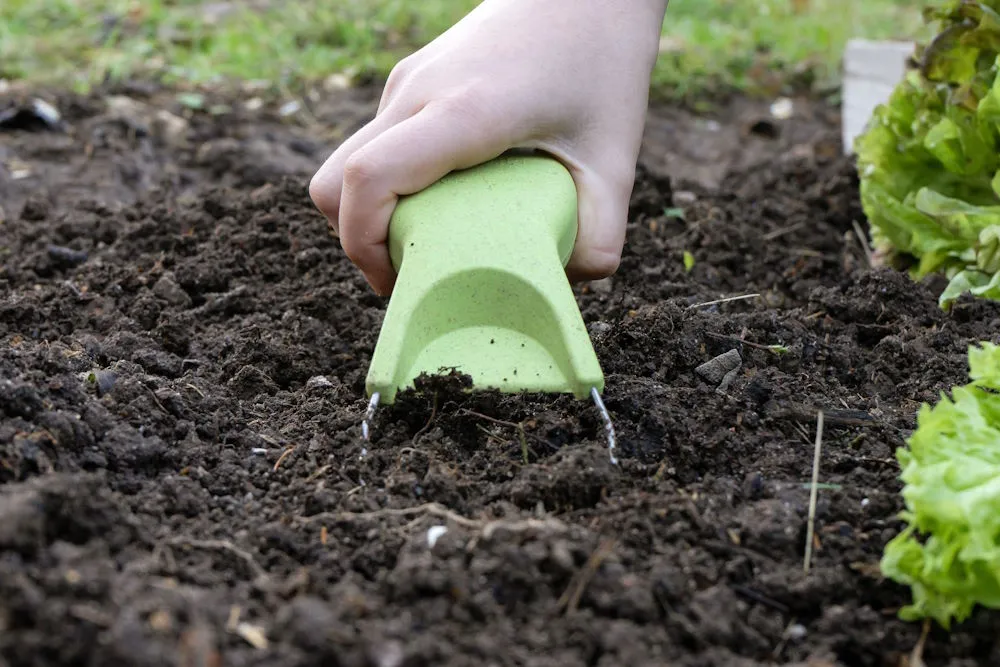 Jäteblitz gegen Unkraut meine ernte – Bild 4