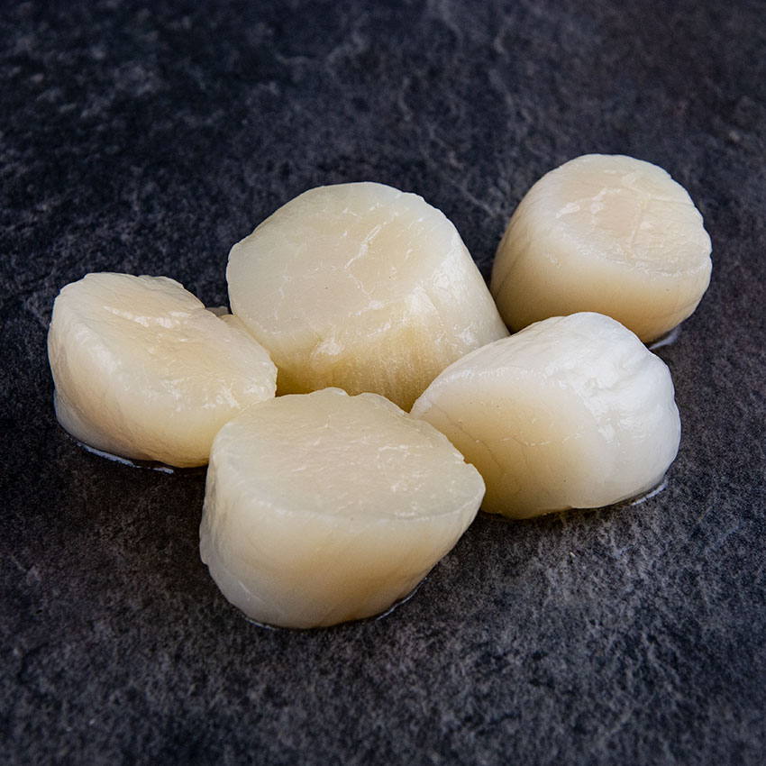 Kammmuscheln MSC 800 g